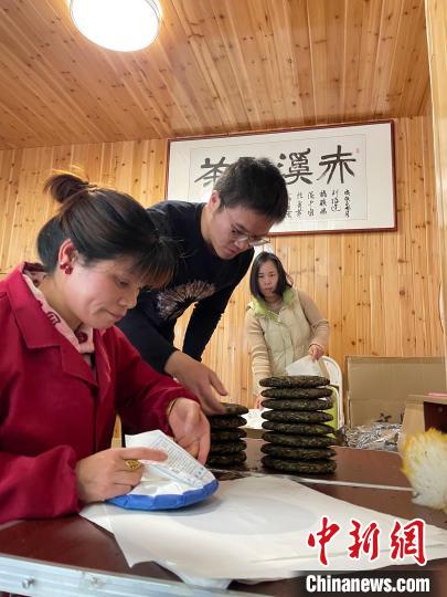 資料圖：杜贏(左二)在整理白茶餅?！×执阂?攝